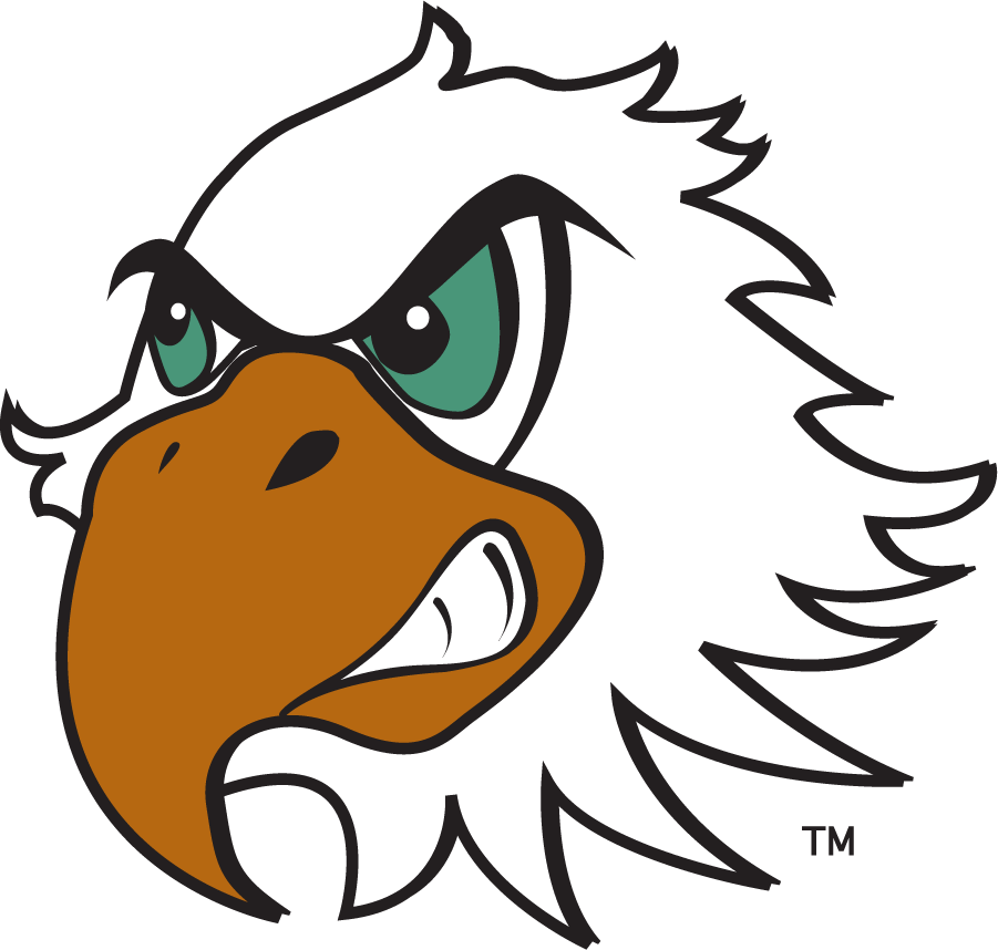 North Texas Mean Green 2003-2005 Mascot Logo v5 diy DTF decal sticker